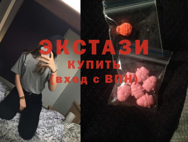 индика Армянск