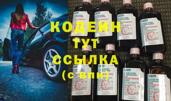 индика Армянск