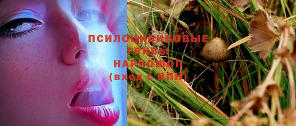 не бодяженный Алзамай
