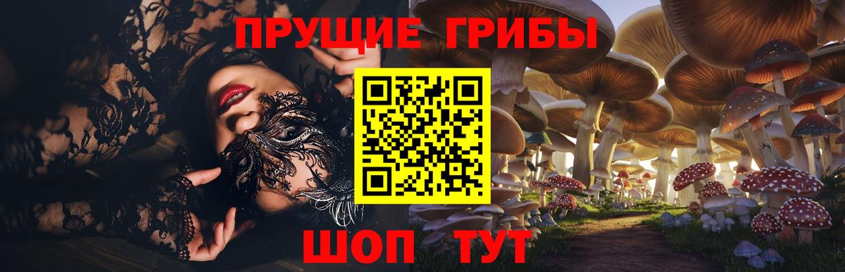 Галлюциногенные грибы GOLDEN TEACHER  где найти наркотики  Вход с VPN  Майкоп  Псилоцибиновые грибы Psilocybe 